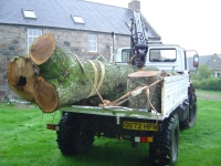 13th September 2008 036